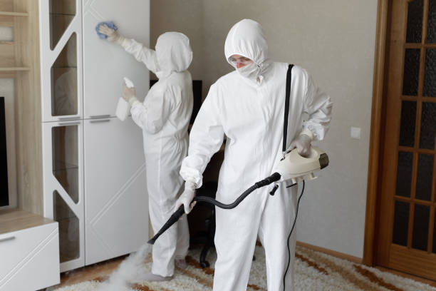 Best Crawl Space Mold Removal  in Burlington, WI