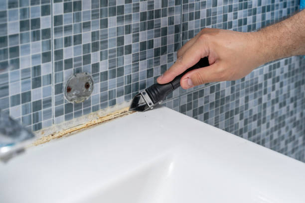 Best Mold Removal Near Me  in Burlington, WI